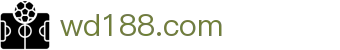 问鼎wd188中国官网 - wd188.com